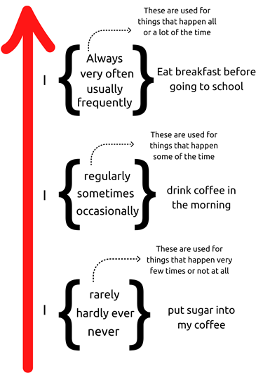 Contoh adverb of frequency